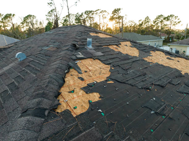 Best Roof Maintenance and Cleaning  in Williston, SC