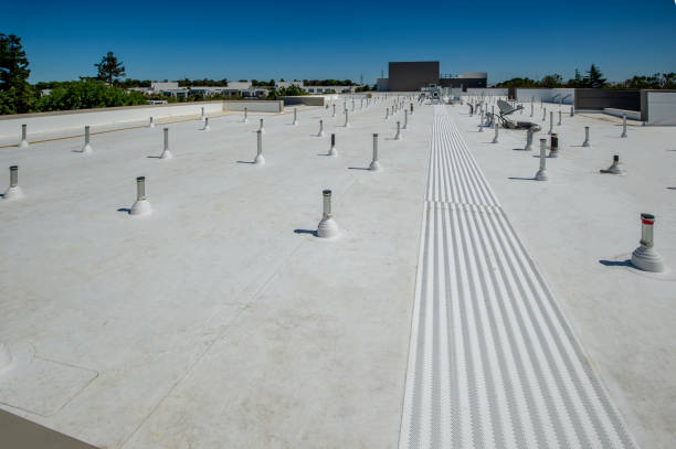 Best Roof Ventilation Installation  in Williston, SC